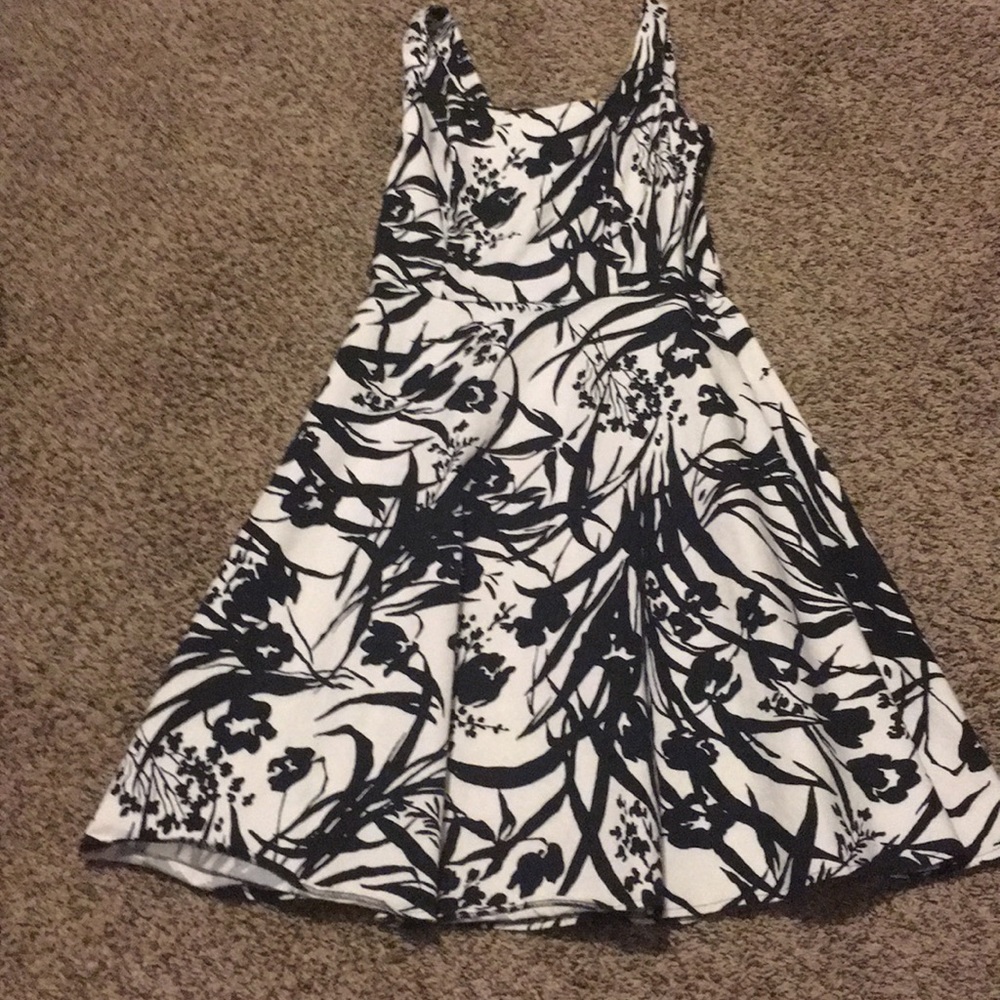 Knee Length Dress NWOT